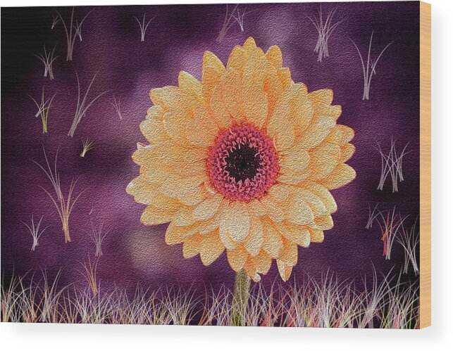 Gerbera Wood Print featuring the digital art Bloom where planted by Vanessa Thomas