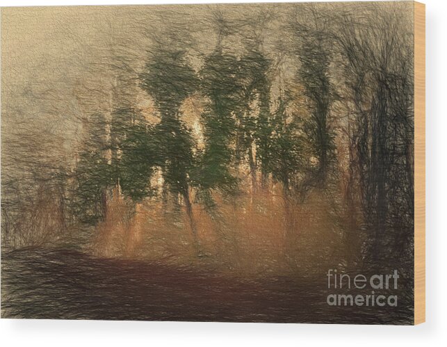Trees Wood Print featuring the photograph Blowin' in the Wind by Elaine Teague