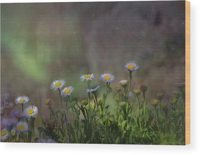 Flowers Wood Print featuring the photograph Blowing in the breeze by Patricia Dennis