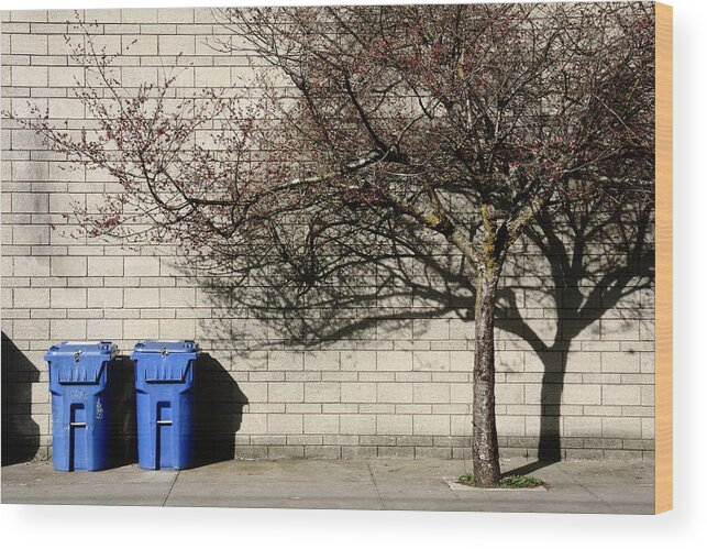 Wall Wood Print featuring the photograph Blue Bin And Cherry Tree by Kreddible Trout