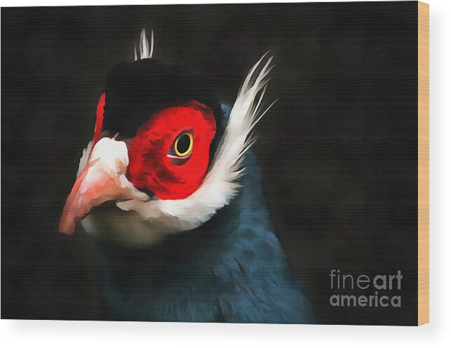 Paint Wood Print featuring the photograph Blue Eared Pheasant by Jack Torcello