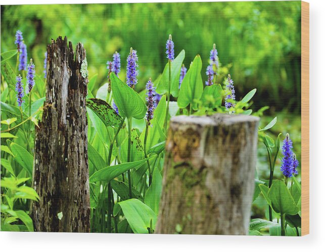 Bloom Wood Print featuring the photograph Blue Flowers and Artistic Logs by Dennis Dame