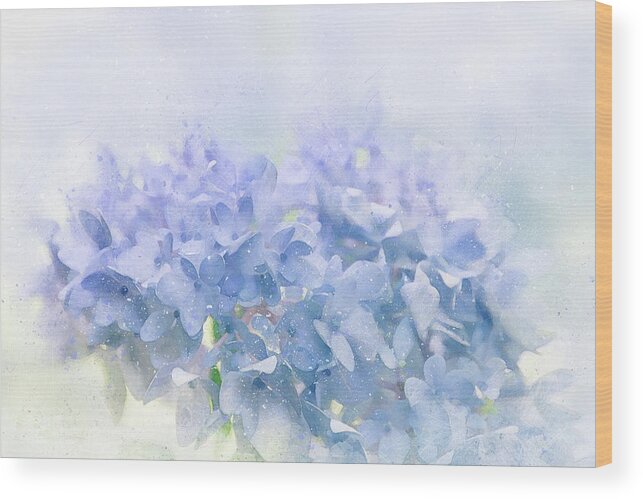 Hydrangea Wood Print featuring the digital art Blue Hydrangea Light by Terry Davis