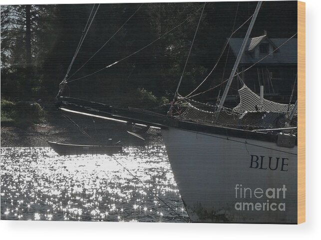 Sailboat Wood Print featuring the photograph Blue by Laura Wong-Rose