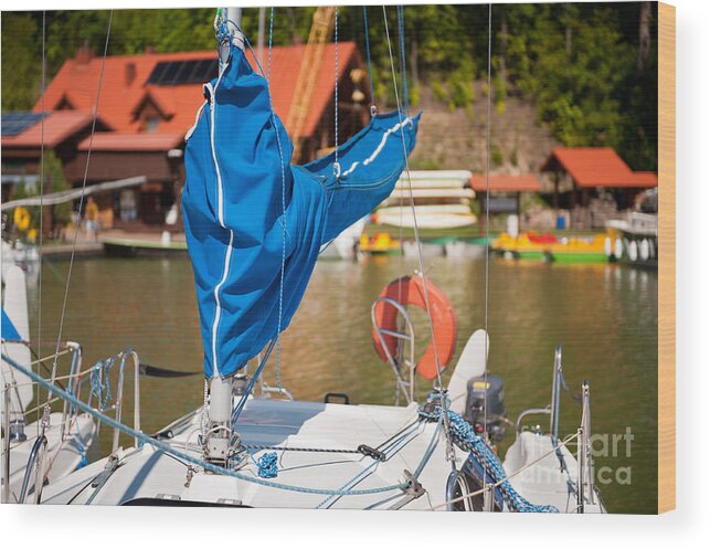 Covering Wood Print featuring the photograph Blue mast covering sheath foreground by Arletta Cwalina