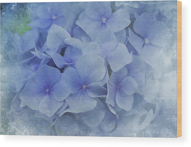 Flowers Wood Print featuring the photograph Blue Moments by Elaine Manley