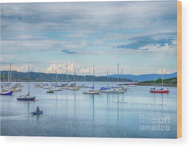 Boat Wood Print featuring the photograph Blue by Paul Quinn