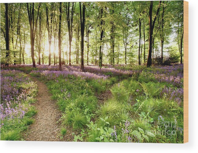 Bluebells Wood Print featuring the photograph Bluebell woods with birds flocking by Simon Bratt