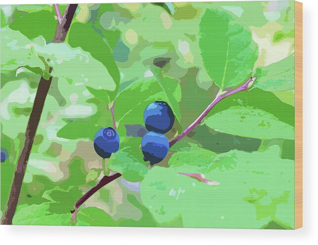 Alaska Wood Print featuring the photograph Blueberries Halftone by Cathy Mahnke