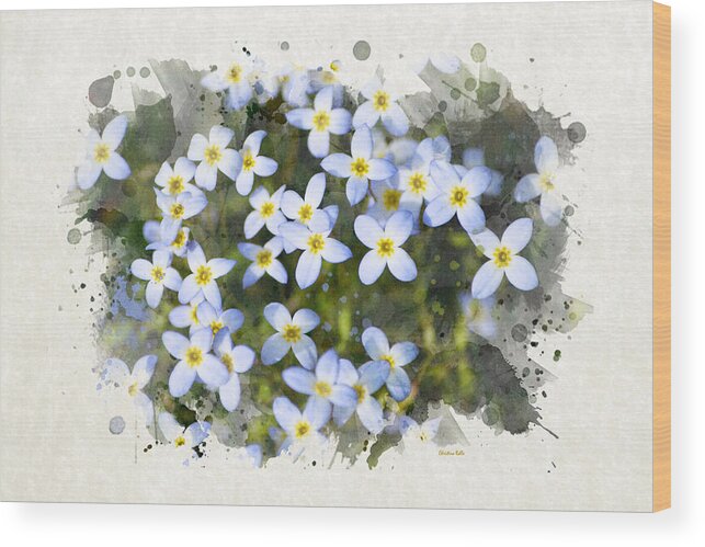 Blue Flowers Wood Print featuring the mixed media Bluet Flowers Watercolor Art by Christina Rollo