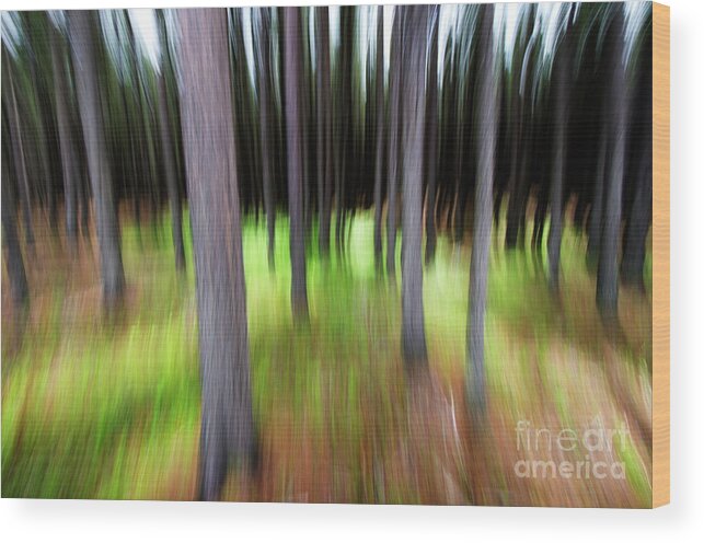 Time Wood Print featuring the photograph Blurring Time by Bob Christopher