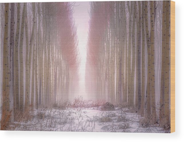  Wood Print featuring the photograph Boardman Tree Farm by Bryan Xavier