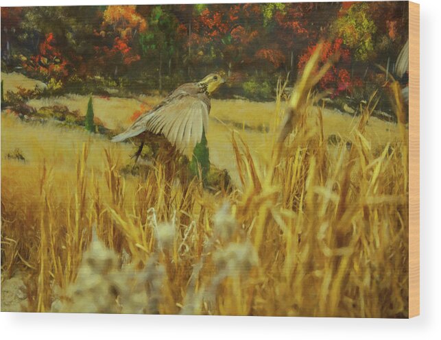 Bobwhite Wood Print featuring the digital art Bobwhite in flight by Flees Photos