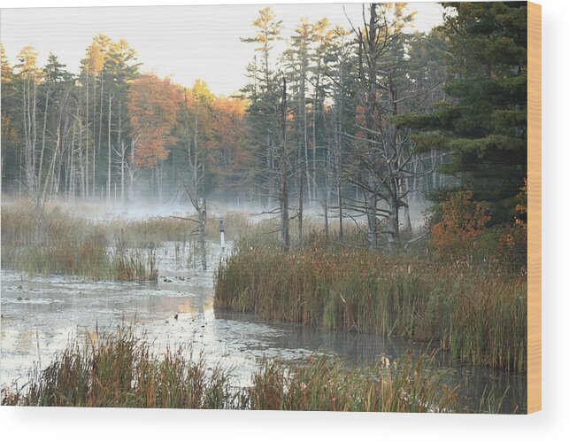 Landscape Wood Print featuring the photograph Bog Fog by Doug Mills