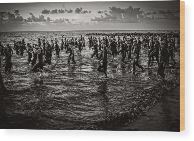 Landscape Wood Print featuring the photograph Bone Island Triathletes by Joe Shrader