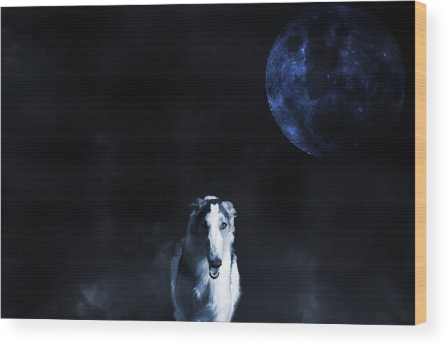 Borzoi Wood Print featuring the photograph Borzoi wolf-hound, hunting under a full moon by Christian Lagereek