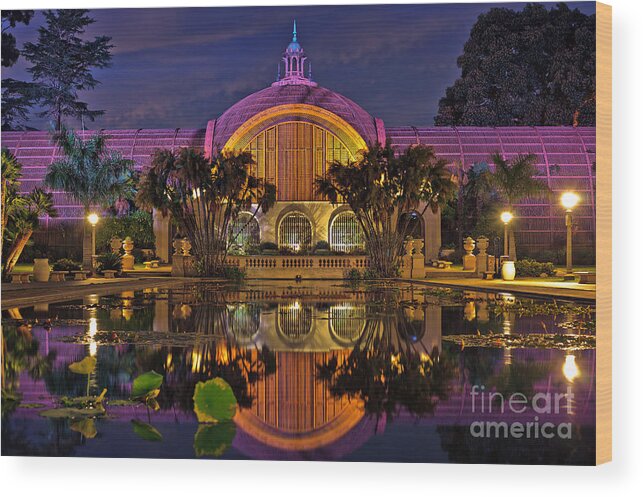 Balboa Park Wood Print featuring the photograph Botanical Building at night in Balboa Park by Sam Antonio