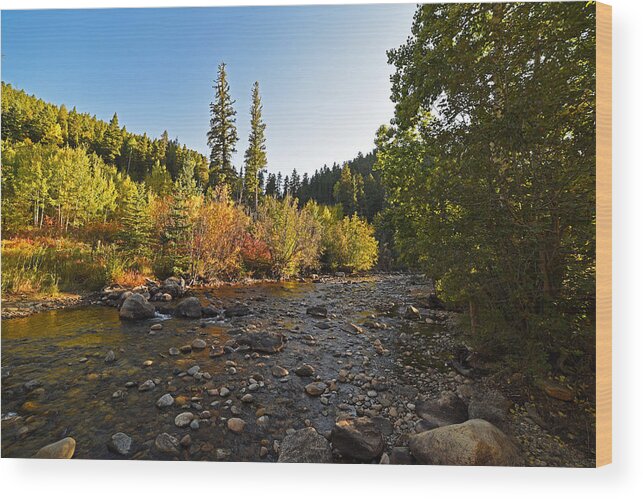 Boulder Wood Print featuring the photograph Boulder Colorado Canyon Creek Fall Foliage by Toby McGuire