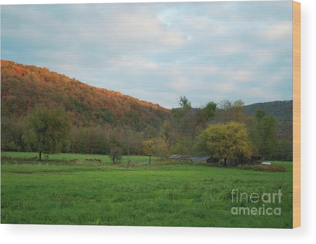 Landscape Wood Print featuring the photograph Boxley Valley Arkansas by David Waldrop