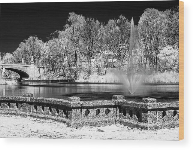 Branch Brook Park Wood Print featuring the photograph Branch Brook Park New Jersey IR by Susan Candelario
