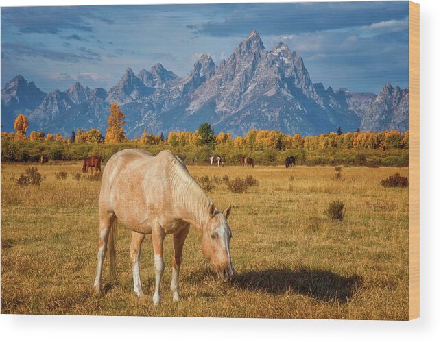 Grand Teton Wood Print featuring the photograph Breakfast in the Tetons by Darren White