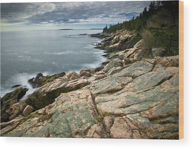 Landscape Wood Print featuring the photograph Brewing Storm Over Otter Point by Brent L Ander