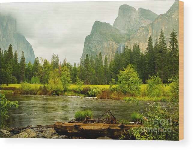 Yosemite Wood Print featuring the photograph Bridal Veil Falls in Yosemite National Park by Mary Jane Armstrong