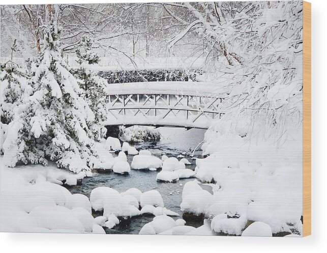 Footbridge Wood Print featuring the photograph Bridge in Winter Snow by Frances Miller