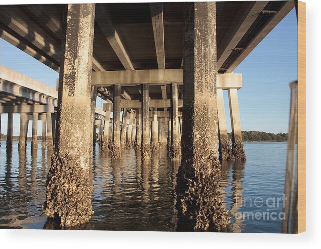 Architecture Wood Print featuring the photograph Bridge Pilings by Thomas Marchessault