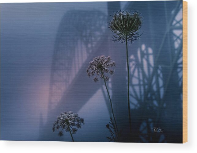 Bridge Wood Print featuring the photograph Bridge Scape by Bill Posner