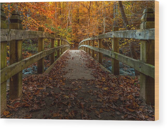Autumn Wood Print featuring the photograph Bridge to Enlightenment 2 by Ed Clark