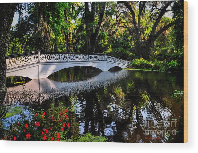 Charleston Wood Print featuring the photograph Bridge to Spring by Randy Rogers