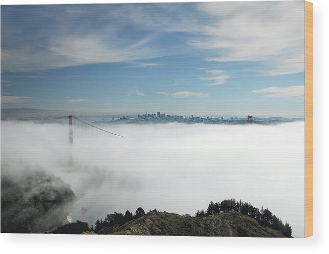 San Francisco Wood Print featuring the photograph Brigadoon by Donna Blackhall