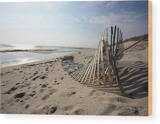 Seascape Wood Print featuring the photograph Bright Beach Morning by Mary Haber