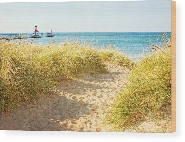 Lake Michigan Wood Print featuring the photograph Bright Sunshiny Day by Kathi Mirto