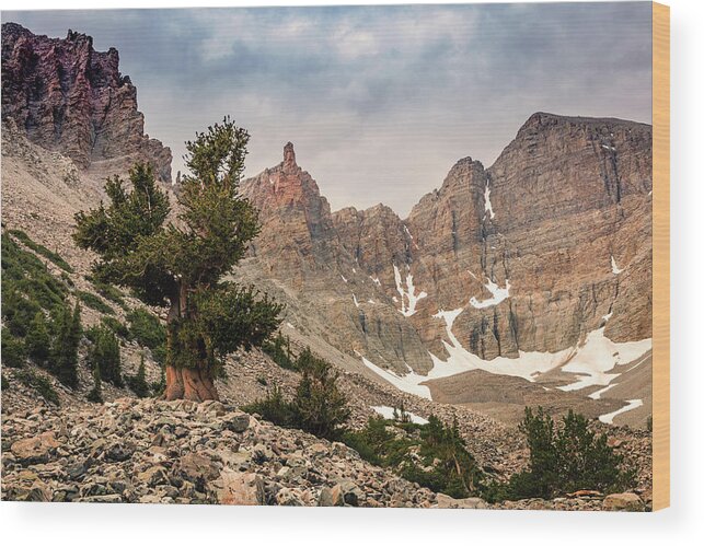 Nevada Wood Print featuring the photograph Bristlecone Cirque by Wasatch Light