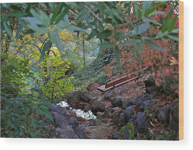 Landscape Wood Print featuring the photograph Brookside Hideaway by Michele Myers