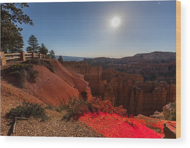 Landscape Wood Print featuring the photograph Bryce 4456 by Michael Fryd