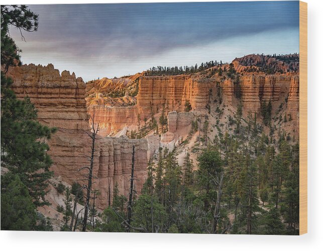 Bryce Canyon Wood Print featuring the photograph Bryce Canyon 4 by Phil Abrams