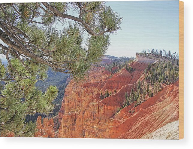Bryce Canyon Wood Print featuring the photograph Bryce Canyon National Park Pinyon Pine by Jennie Marie Schell