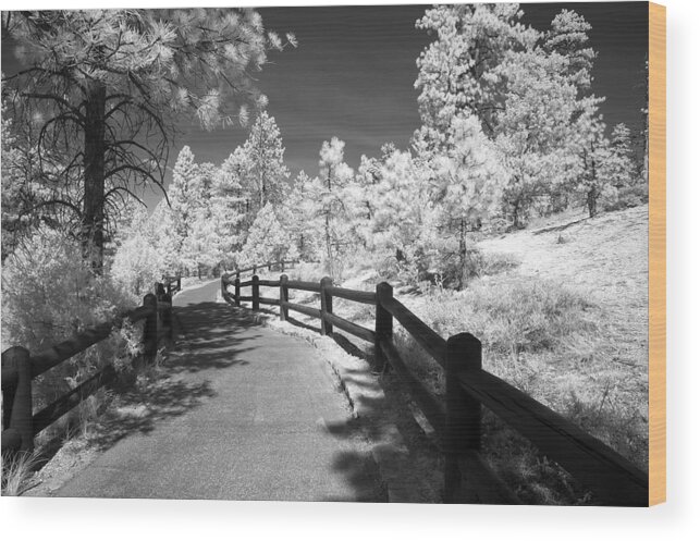 Infrared Wood Print featuring the photograph Bryce Canyon Trail by Mike Irwin