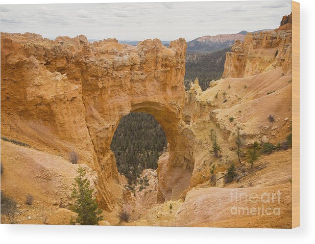 Bryce Wood Print featuring the photograph Bryce Natural Bridge by Louise Magno