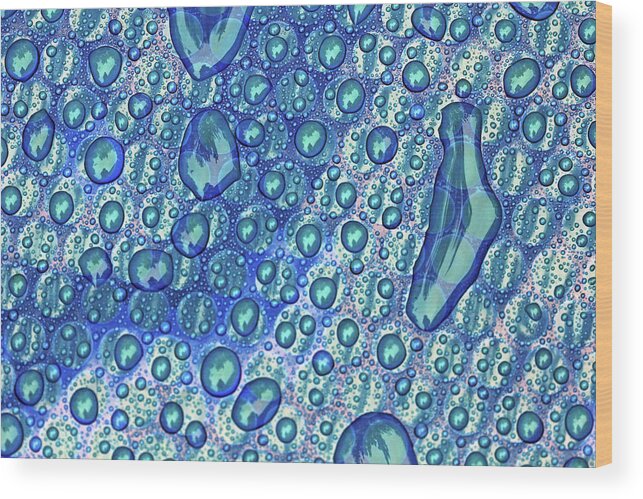 Bubbles Wood Print featuring the photograph Bubbles In All Sizes by Debbie Oppermann