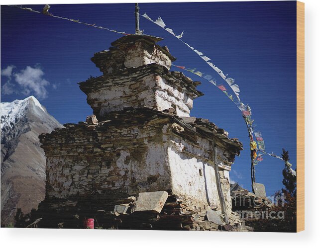 Nepal Wood Print featuring the photograph Buddhist gompa and prayer flags in the Himalaya range, Annapurna region, Nepal by Raimond Klavins