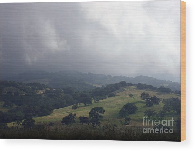Landscape Wood Print featuring the photograph Buellton hill by Balanced Art