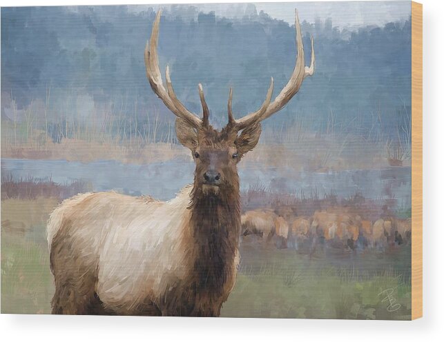 Animal Wood Print featuring the digital art Bull elk by the river by Debra Baldwin