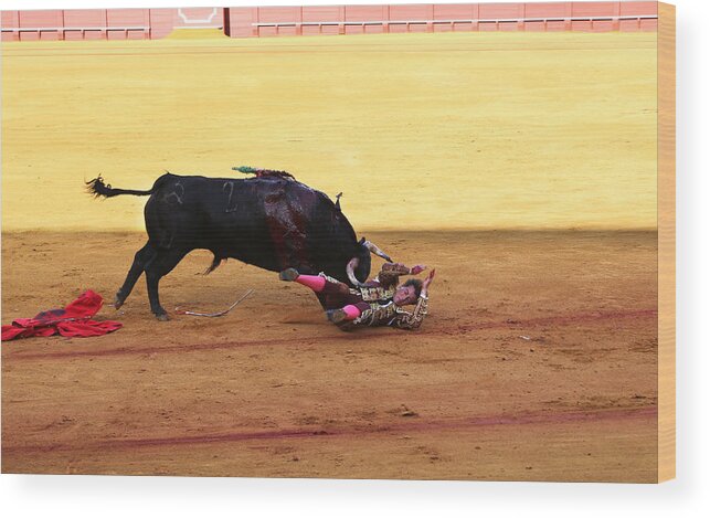 Bullfighting Wood Print featuring the photograph Bullfighting 27 by Andrew Fare