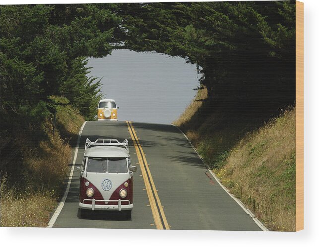 Beetle Wood Print featuring the photograph Buses and a Tunnel of Trees by Richard Kimbrough
