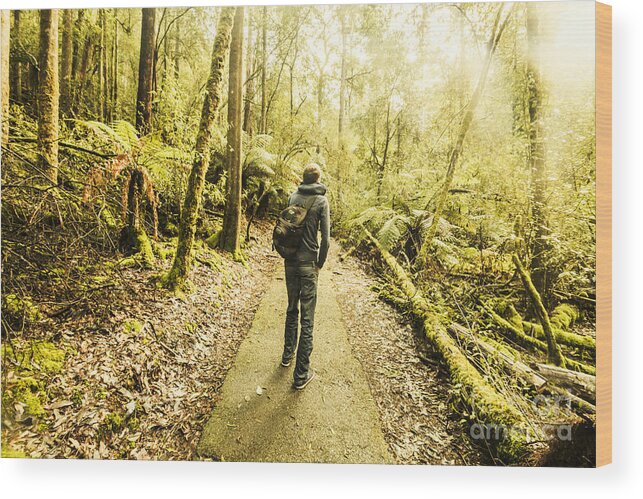 Hiker Wood Print featuring the photograph Bushwalking Tasmania by Jorgo Photography