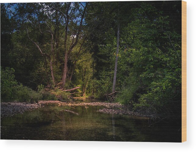 Busiek Wood Print featuring the photograph Busiek State Forest by Allin Sorenson